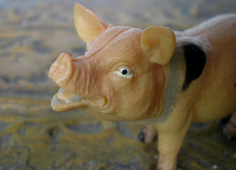 Bemalungen, Umbauten, Modellierungen - neue Tiere für meine Dioramen - Seite 6 264a2_10