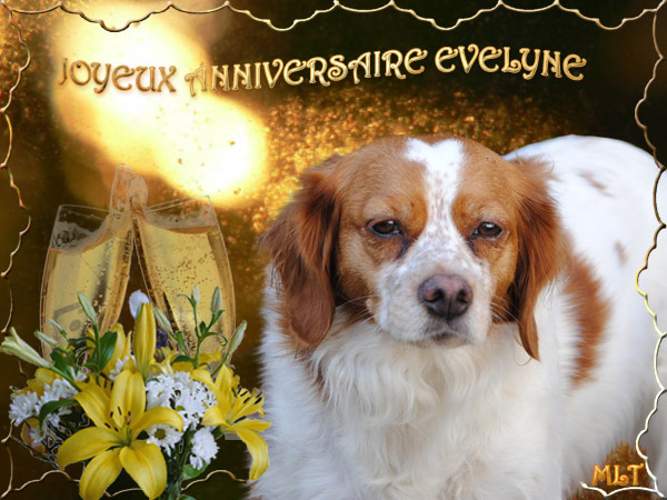 Joyeux Anniversaire Evelyne Joyeux Anniversaire Evelyne