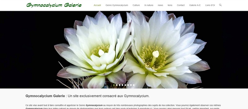 www.gymnocalycium.fr de Jean-Jacques Houdré Gymnoc10