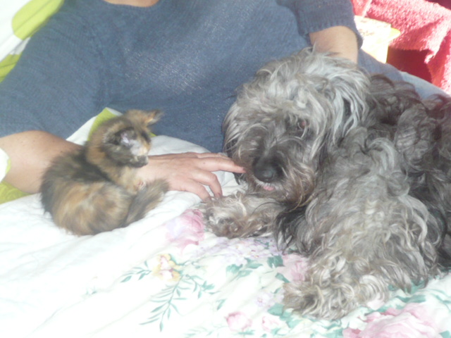 GAIA (Joya), EDEN (Thor), ZOOM et CRYSTAL - Page 15 P1070216