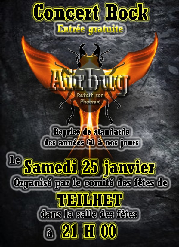 concert 25 janvier 2014 Affich10