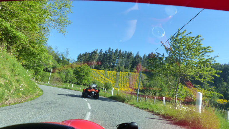 RETOUR RANDO DE SR - ASCENSION EN BOURGOGNE DU SUD 2017 P1060024