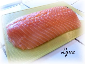 Filet de saumon en croûte de parmesan et lime Filet_24
