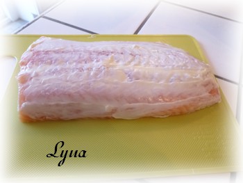 Filet de saumon en croûte de parmesan et lime Filet_25