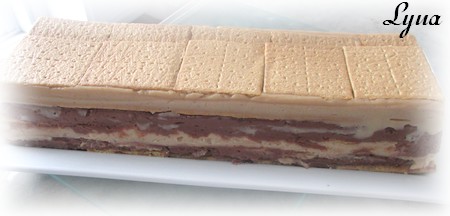 Gâteau barres snickers (sans cuisson) Gateau58