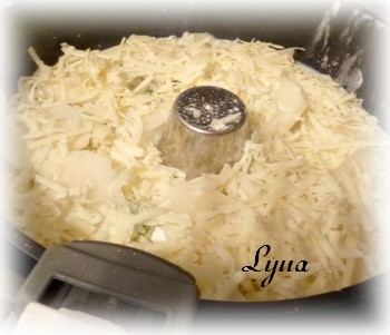 Gratin de pommes de terre -Actifry sans le bras central - Gratin10