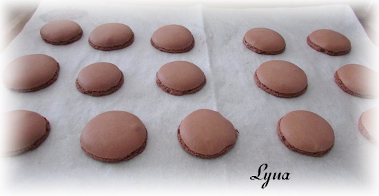 Macarons au chocolat au lait Macaro20