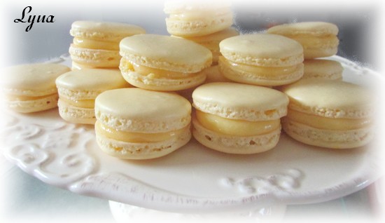 Macarons au citron Macaro27