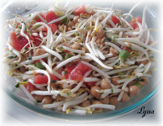 Salade de pois chiche et fèves germées Salade20