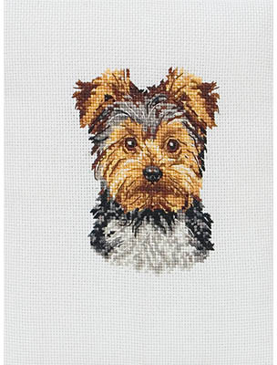 50.  Cross Stitch Yorkie Portrait  Anc-pc10