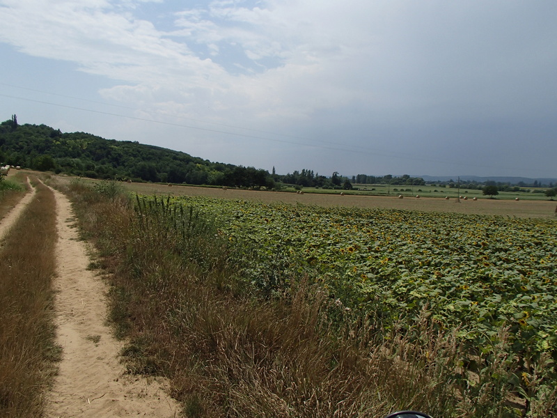 More Hungary P7180112