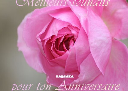 Anniversaire br²@3 - Page 2 Carte-10