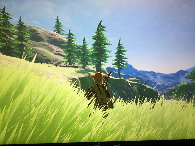 TEST - Zelda Breath of the Wild  / Wii U Img_1114