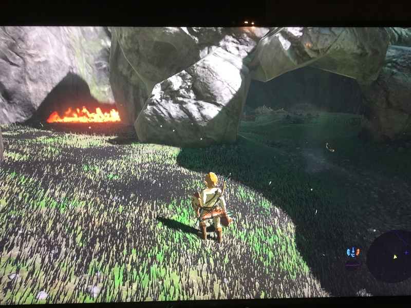 TEST - Zelda Breath of the Wild  / Wii U Img_1116