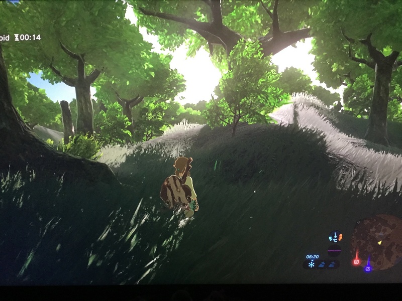TEST - Zelda Breath of the Wild  / Wii U Img_1121