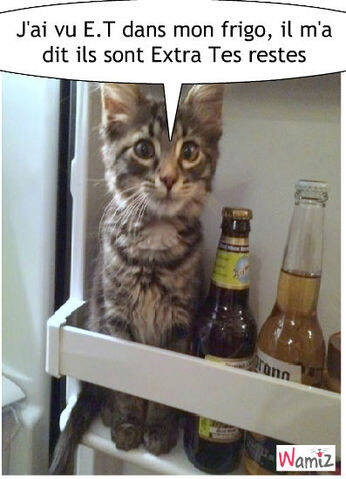 Images Humour Page 13