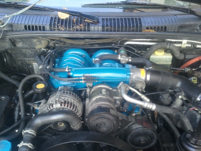 Cache courroie V8 Thor 2013-136