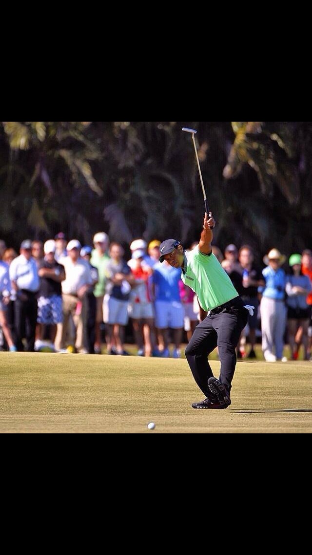 Is Tiger Woods Fading Away? Image54