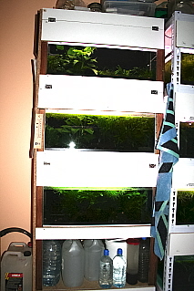 projet fishroom Etagyr11