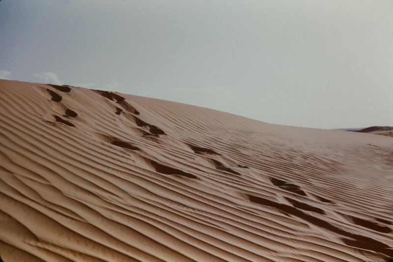 paysages sahariens Dune_011