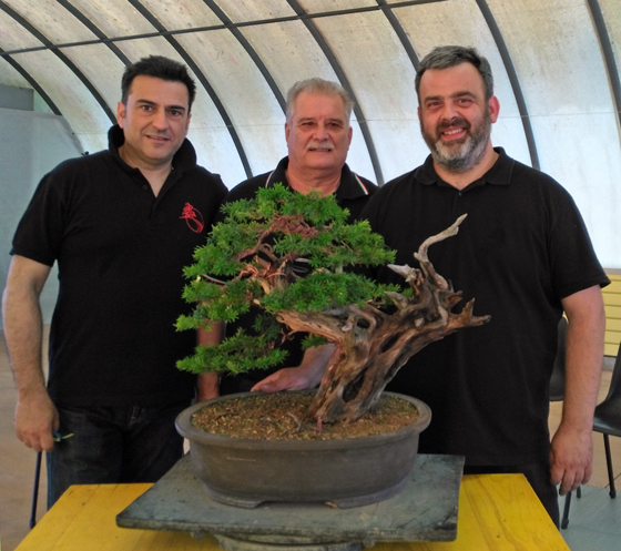 Oltre Il Verde - Bonsai Competition 6 Fine-l11