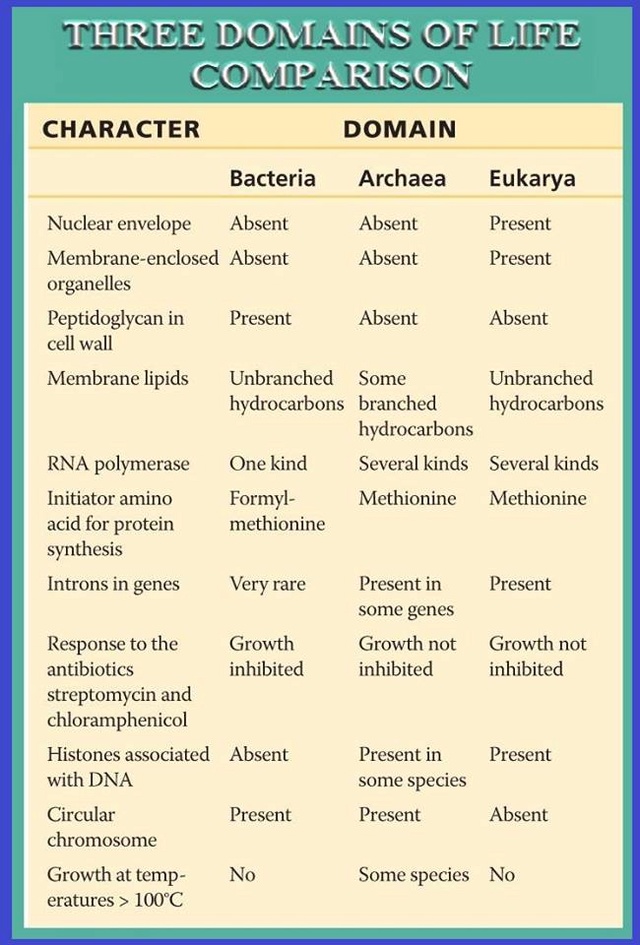 Differences in the 3 domains of life 17457310