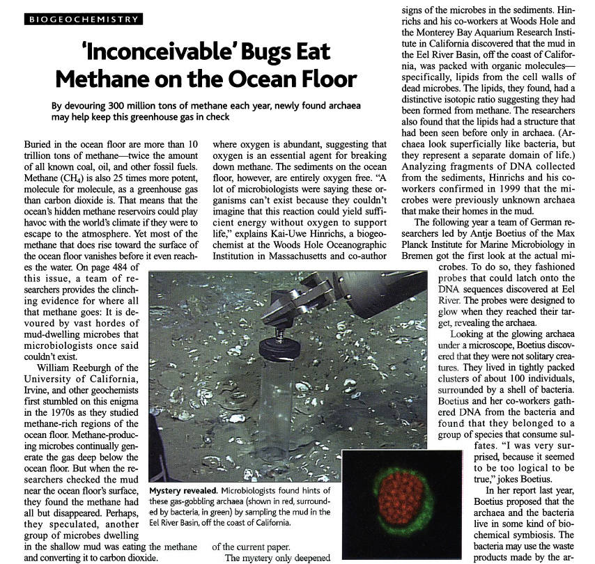 'Inconceivable' Bugs Eat Methane on the Ocean Floor Archea10