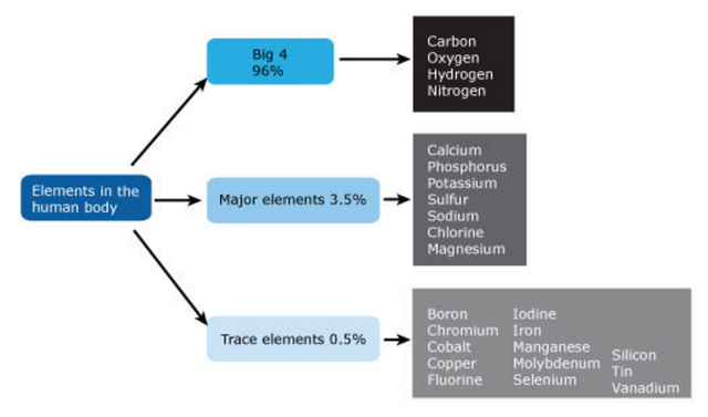 Essential elements and building blocks for the origin of life Essent12