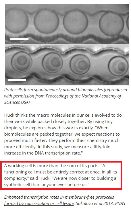 Abiogenesis: The cell is irreducibly complex Frank_10