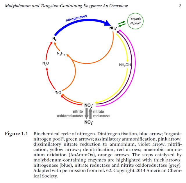  The nitrogen cycle, irreducible interdependence, and the origin of life Nitrog10