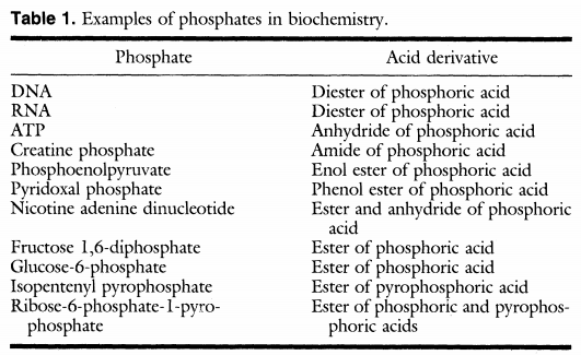 Phosphate, essential for life Phosph12