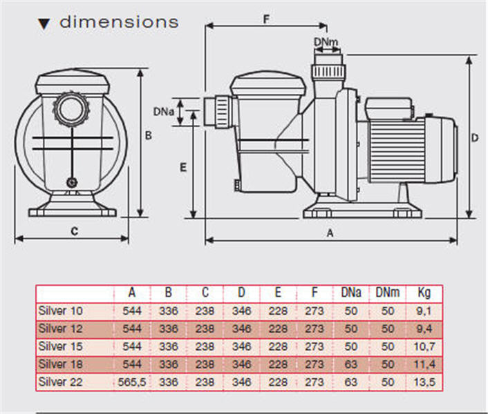 Celine 09 : Encombrement pompe et filtre et hauteur / niveau eau  Diment10