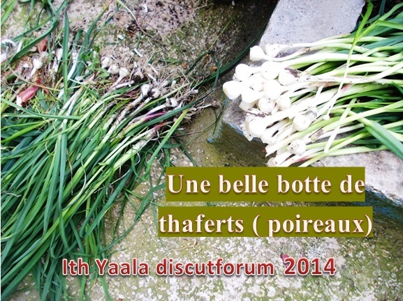 petit cours de botanique ``yaalaouie` Thafer10