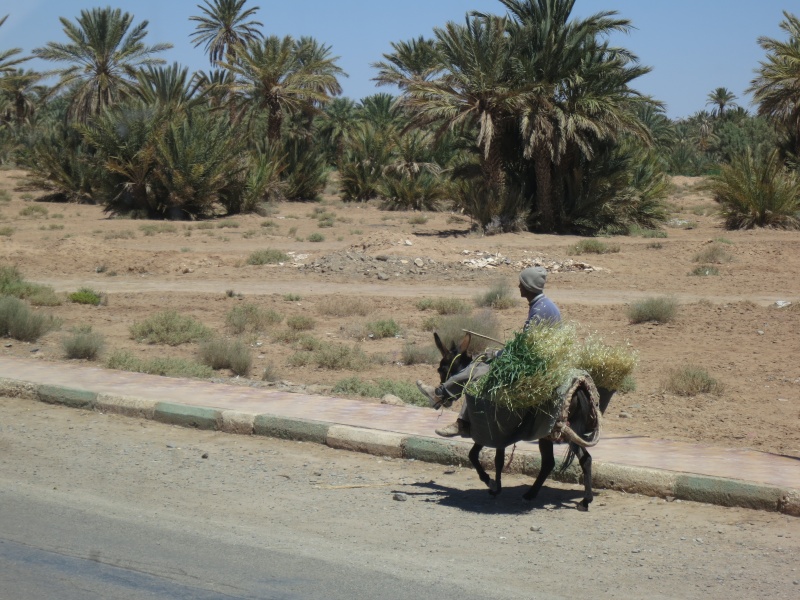 Voyage de printemps au Maroc 2014_m15