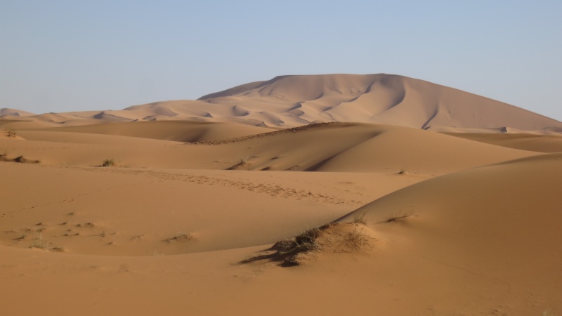 Voyage de printemps au Maroc 2014_m16