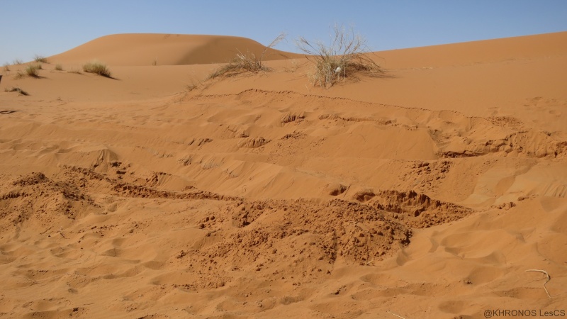Voyage de printemps au Maroc 2014_m27