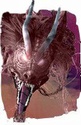 Série Dragon Men (VO) d'Amber Kell 43153510