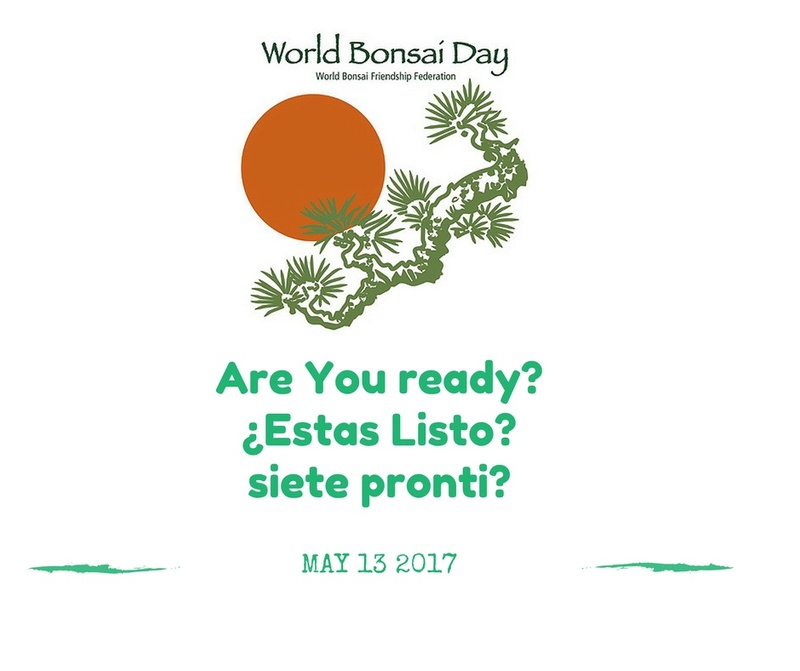 World bonsai day 2017 Wbd20110