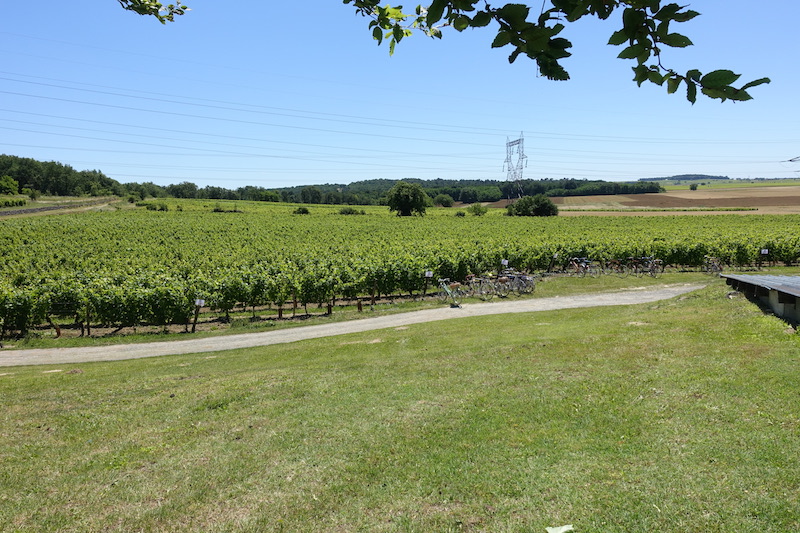 vintage - BANANE SOLSTICE le 21 et ANJOU VELO VINTAGE le  22 / 24 Juin 2018  - Page 9 Dsc03724