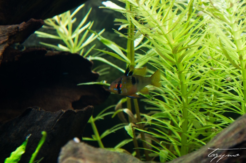 Rio 180 Dsc_0512