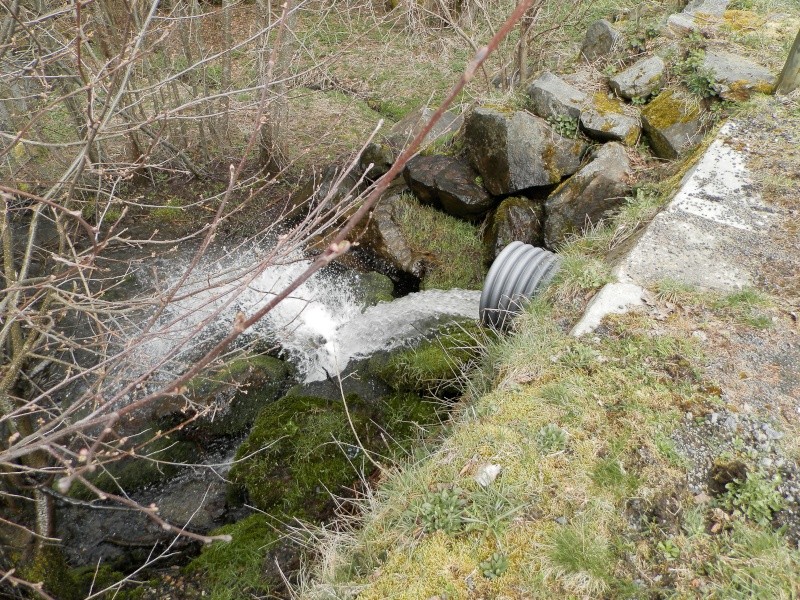 1ère ballade de l'année: 6 avril 2014 (2) P4060248