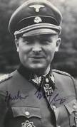 La 1.SS-Panzer-Division « Leibstandarte SS Adolf Hitler"  Wisch10