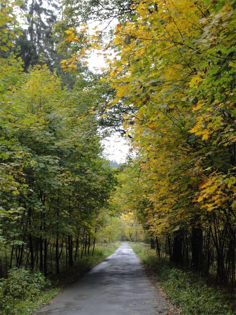 Harz-Herbst-Eindrcke der letzten Tage Dsc01013