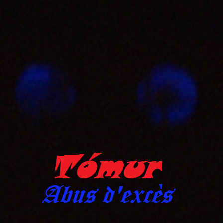 Mes projets musicaux (Tómur/Augustin Brousseloux/Autres) - Page 6 Tamur-10