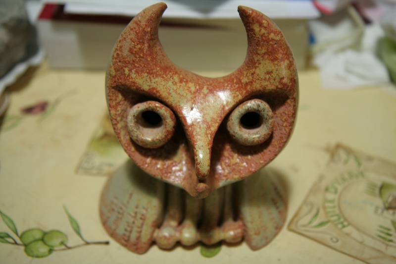 drouille hibou Img_1510