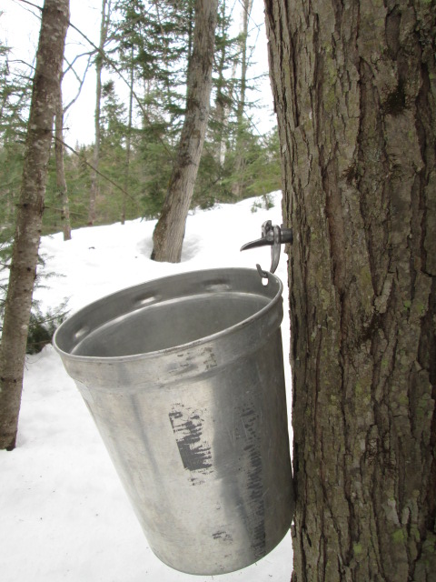 la musique des copains des bois - Page 15 00718