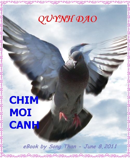 Chim Mỏi Cánh - Quỳnh Dao Chim_m10