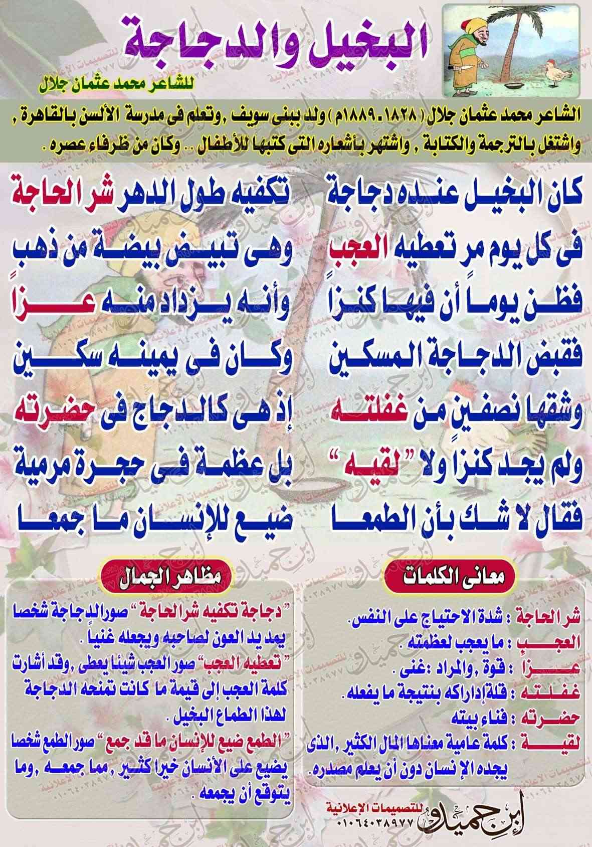 لوحات مدرسية - لغة عربية الصف السادس الابتدائى - البخيل والدجاجة Ouoous18