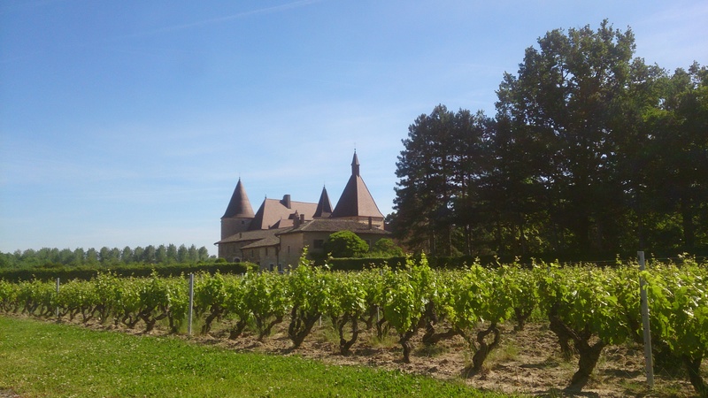 RETOUR RANDO DE SR - ASCENSION EN BOURGOGNE DU SUD 2017 Dsc_2954