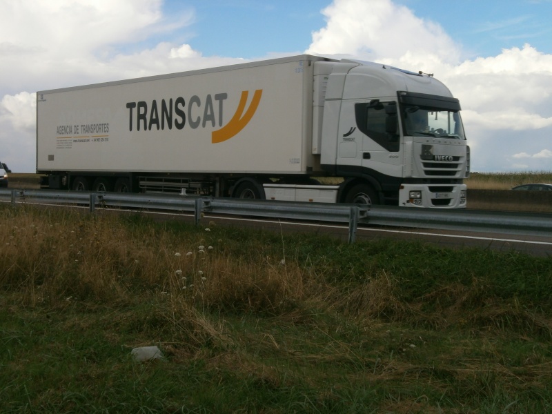 Transcat P8271835